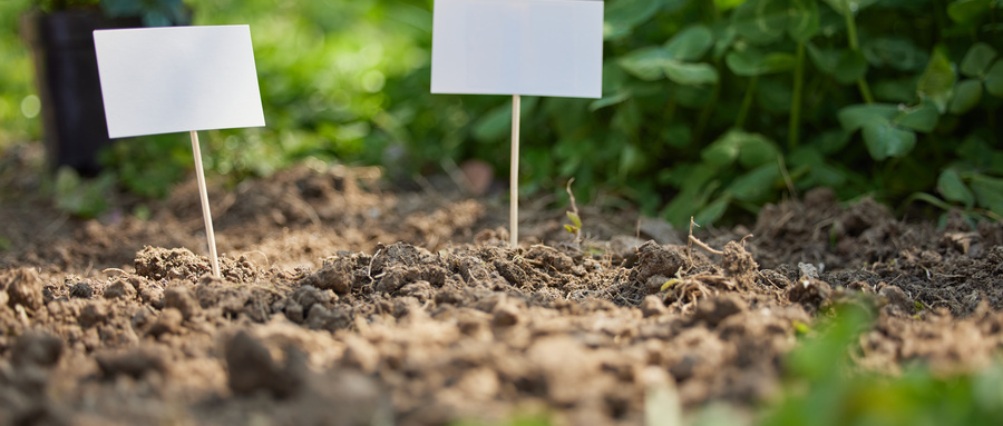 种植土土壤检测需检测哪些项目？