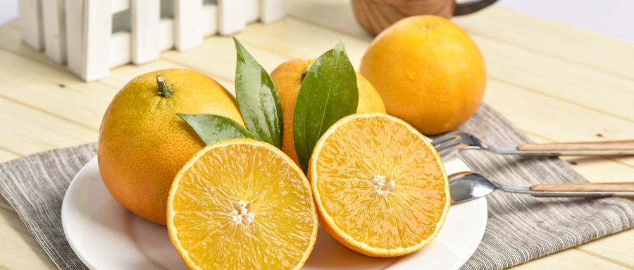 办理柑橘检测报告的执行标准是什么？