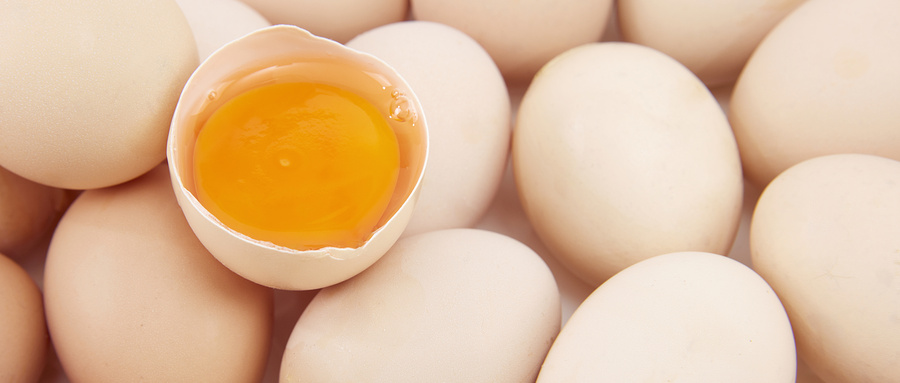 办理鲜鸡蛋品质检验报告大概要多少钱？