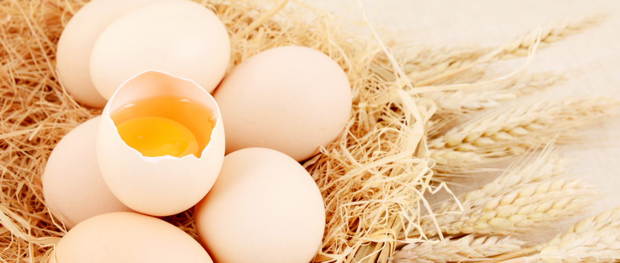 鲜鸡蛋检验报告的有效期有多长时间？