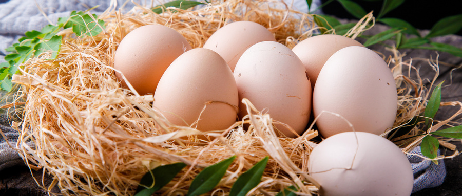 土鸡蛋销售要办理检测报告去哪办？