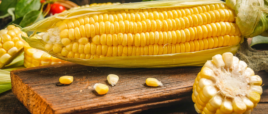 玉米检测哪些指标？玉米检测国家标准是什么？