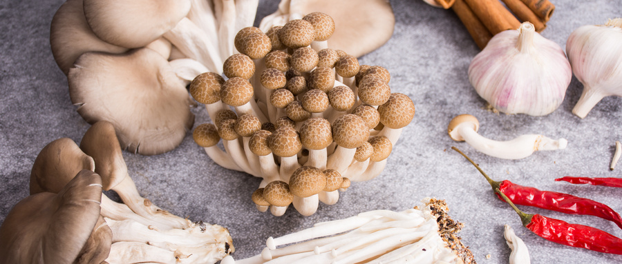 蘑菇检测机构如何办理蘑菇质量检测报告？