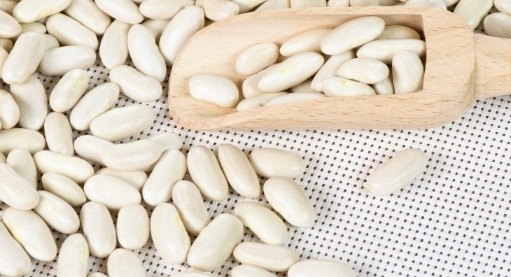 白芸豆农药残留检测指标以及检测流程分别是什么？