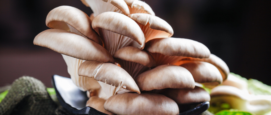 大棚种植平菇怎么检测质量达标？
