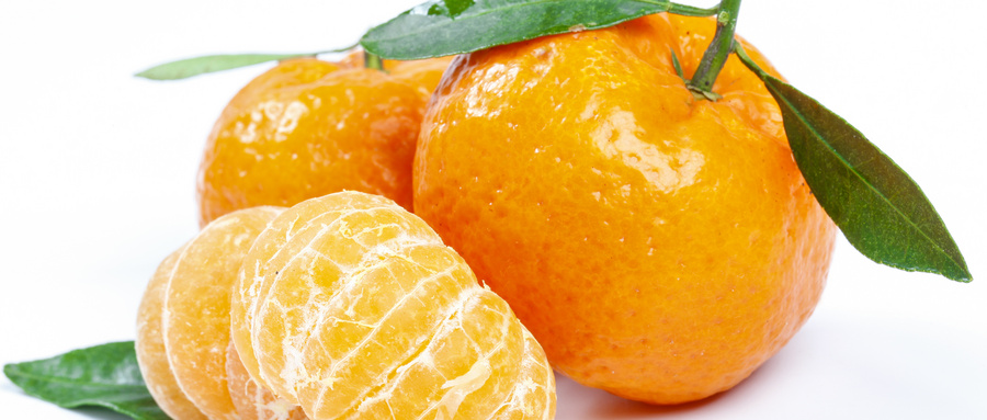 如何办理柑橘农药残留检测报告？