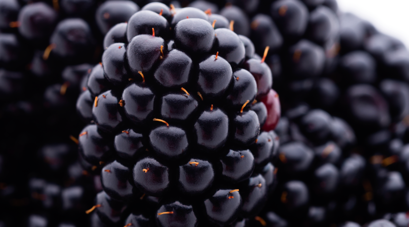 海口果农种植的黑莓抖音出售要出具检测报告怎么办？