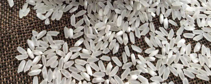 米厂检测一次籼米要多少钱？去哪里检测比较好？