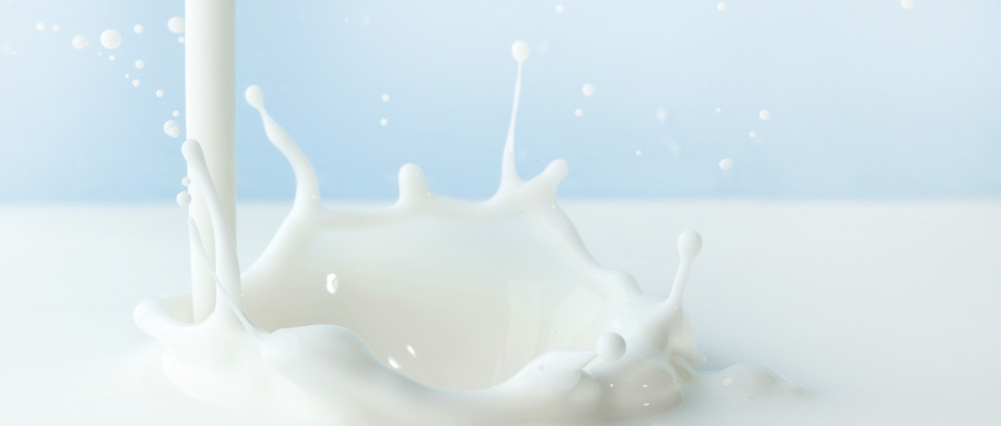 牛奶检测报告有效期是多久？牛奶检测报告需要花费多少钱
