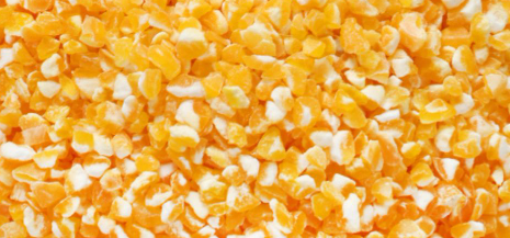 怎么检测玉米糁质量？玉米糁主要检测哪些方面