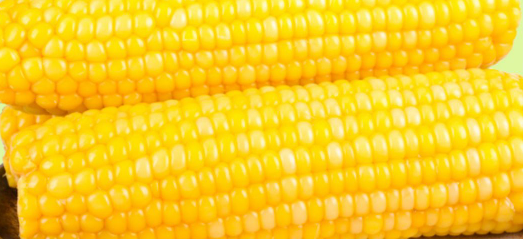 优质蛋白玉米超市出售要检测农残含量怎么办？