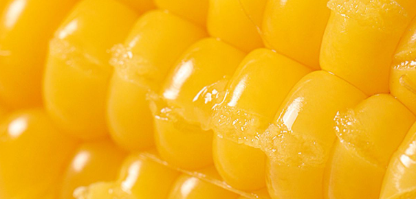 鲜食玉米检测国家标准多少？鲜食玉米检测单位在哪里