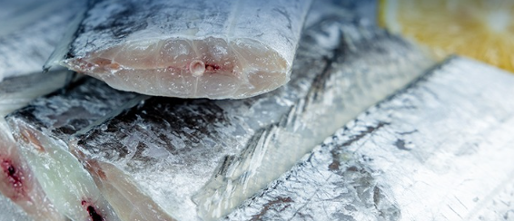 冻带鱼国家检测执行标准是什么？