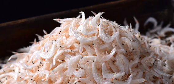 干虾米检测报告一般检测哪些项目？
