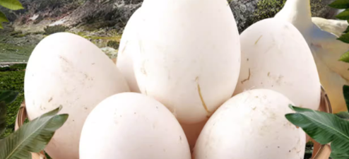 鹅蛋检测执行什么国家标准？