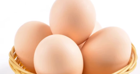 鸡蛋检测项目有哪些？