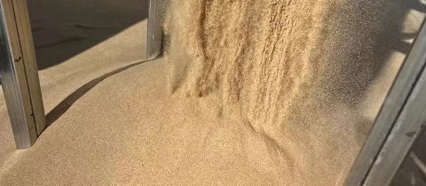 砂的检测机构有哪些？