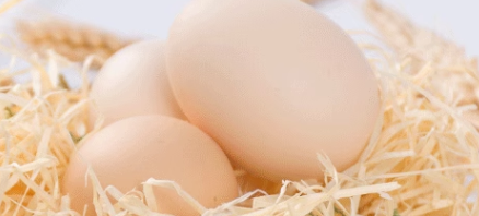 鲜蛋入驻超市销售如何办理检测报告？