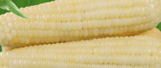 你知道鲜食熟玉米有哪些检测项目及标准么？