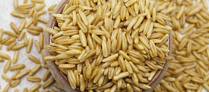 燕麦米检测质量标准多少？燕麦米检测需要检测什么项目
