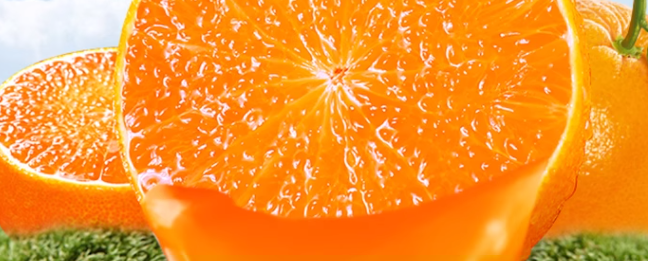 果农种植的橙子入驻抖音怎么办理检验报告？