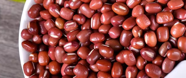 红豆检测机构怎么选择？红豆检测机构有哪些？