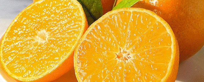 柑橘检测项目及收费标准是什么？