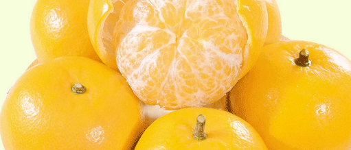 办理一份柑橘CMA检验报告要多少钱？