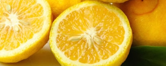 柠檬柚检测执行什么国家标准？