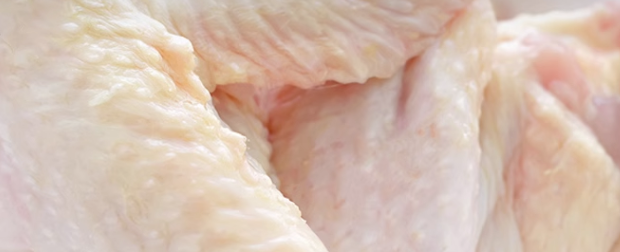 苏州肉制品检测执行标准是什么？